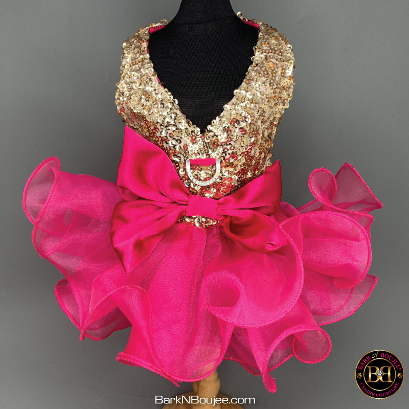 Hot pink clearance and gold dress